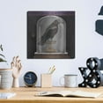 thumbnail image 6 of Luxe Metal Art 'Apothecary Noir I' by Sue Schlabach, Metal Wall Art, 12"x12", 6 of 7