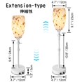 thumbnail image 3 of FSLiving Rechargeable Battery Operated Fireplace Lamps, Remote RV Hand-blown Art Brown Marble Glass Brushed Nickel Socket Adjustable Telescoping Rod Table Light Portable Hallway Bedside Light, 3 of 9