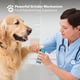 thumbnail image 5 of BOSHEL Amoladora de Uñas para Perros, Recortadora Eléctrica para Mascotas de 2 Velocidades para un Cuidado Seguro de las Patas, Portátil y Recargable, 5 of 9