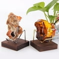 thumbnail image 1 of Soporte de Exhibición de Base de Madera de 4 Piezas para Decoración de Hogar Mineral de Piedras Preciosas Hugo expositor de minerales, 1 of 7