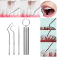 thumbnail image 2 of HLONK 3 Pcs Stainless-Steel Toothpicks Reusable Floss Tooth Picks Scraper Dental Tools for Teeth Cleaning Steel Dental Pick Kit, 2 of 9