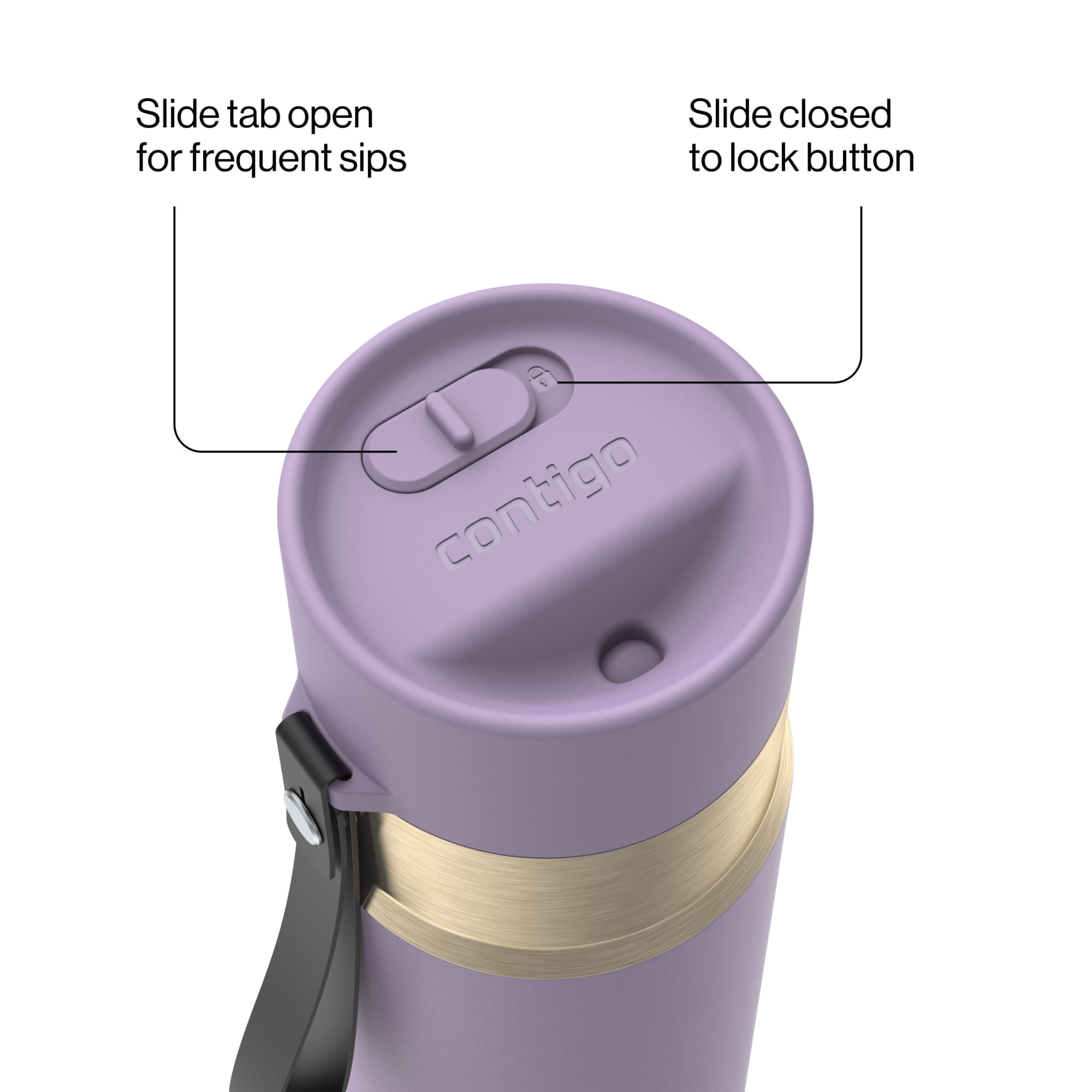 Contigo 24oz AutoSeal Insulated Stainless Steel Water Bottle, Purple Carrot/Champagne