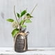 thumbnail image 3 of Para Flores, Cubo Para Flores, Cubo Retro Para Leche, Cubo Para Flores, Cubo De Hierro Para El Jardín Del Hogar Advancent HA044114-02, 3 of 6