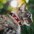 thumbnail image 2 of Buckle-Down Breakaway Cat Collar With Bell, Plastic Clip, Easy Adjustable, Take Out Fortune Cookies Red, 8.5 to 12 Inches 0.5 Inch Wide, 2 of 4