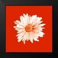 thumbnail image 2 of Jason Johnson 20x20 Black Modern Framed Museum Art Print Titled - Vivid Bouquet, 2 of 5