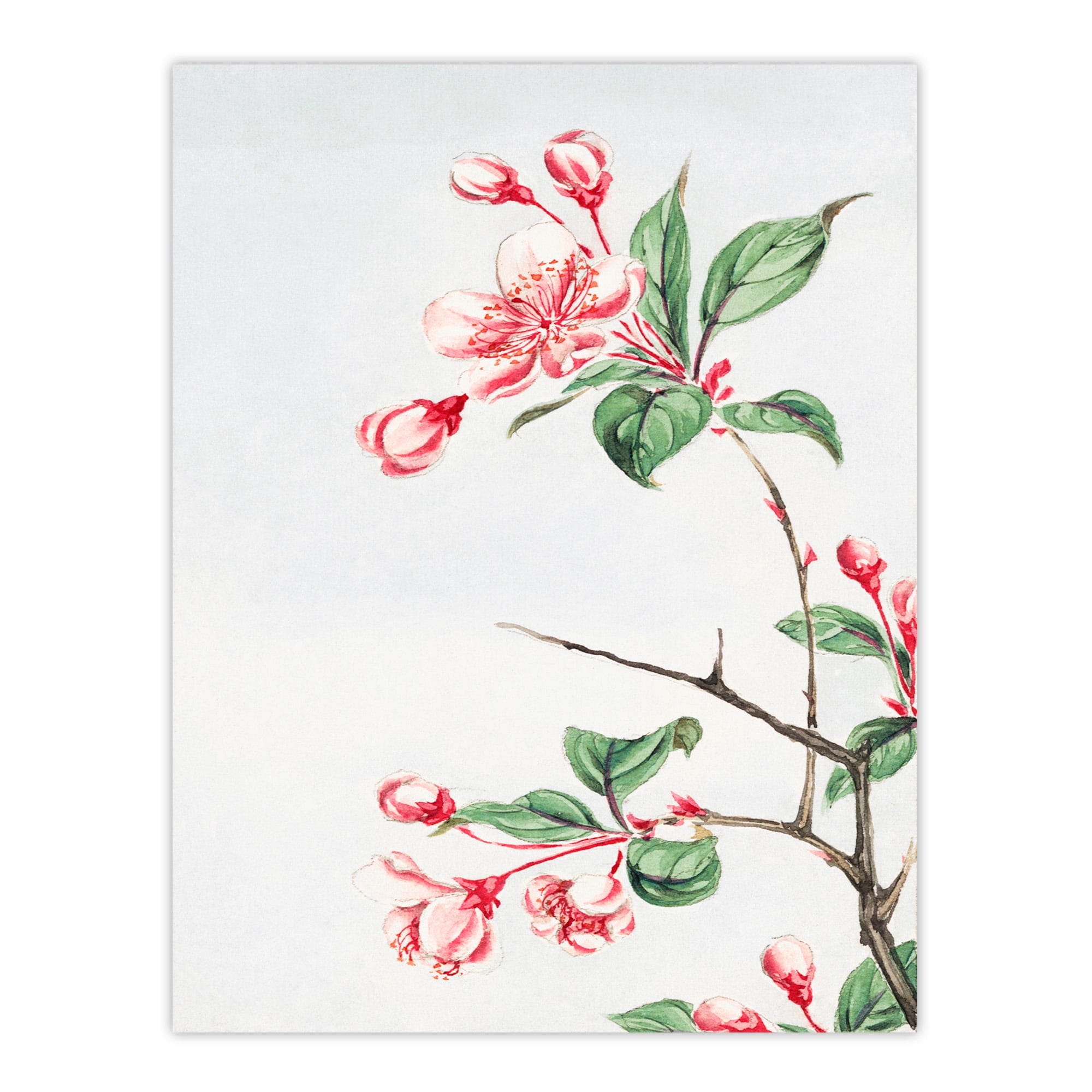 Artery8 Megata Morikaga Kaido Crabapple Flower Bloom Framed Wall Art Print Home Décor A4