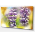 thumbnail image 2 of Beautiful Blue Lupin Flowers - Large Flower Canvas Art Print, 2 of 3