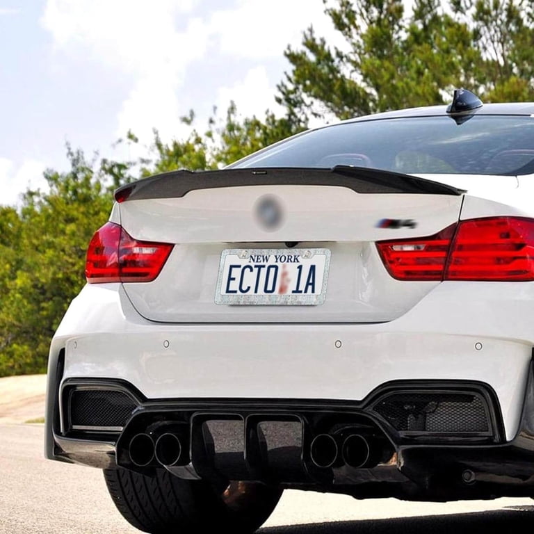 Full Moon Forest License Plate Frame - 6x12.25 Inch Metal Frame With Screws For US Standard Plates