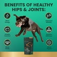 thumbnail image 3 of VetriScience Ultimate Strength Healthy Hip & Joint Care Supplement Chew for MD/LG Dog, Bacon 120 Ct Bag, 3 of 13