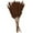 Copper Solid Cluster 2" x 1" x 35", variant on 35" Grass Dried Plant Natural Foliage Pampas Bouquet with Long Stems, by DecMode