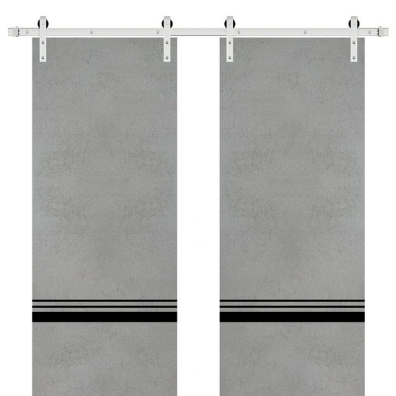Sturdy Double Barn Door 36 x 80 inches with | Planum 0012 Concrete with Frosted Glass | Stainless Steel 13FT Rail Hangers Heavy Set | Solid Panel Interior Doors