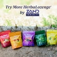 thumbnail image 6 of Zand HerbaLozenge Elderberry Zinc Lozenges for Dry Throats, No Artificial Sweeteners, No Corn Syrup, No Cane Sugar (80 Count), 6 of 6
