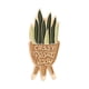 thumbnail image 2 of Jumpingount Broches de dibujos animados de cactus verde con forma de hoja suculenta, alfileres de solapa esmaltados divertidos, para niñas, ropa, Accesorios de disfraces XZ3282, 2 of 6