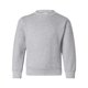 thumbnail image 1 of Sudadera de cuello redondo Hanes ComfortBlend® EcoSmart® para jóvenes hanes P360, 1 of 1