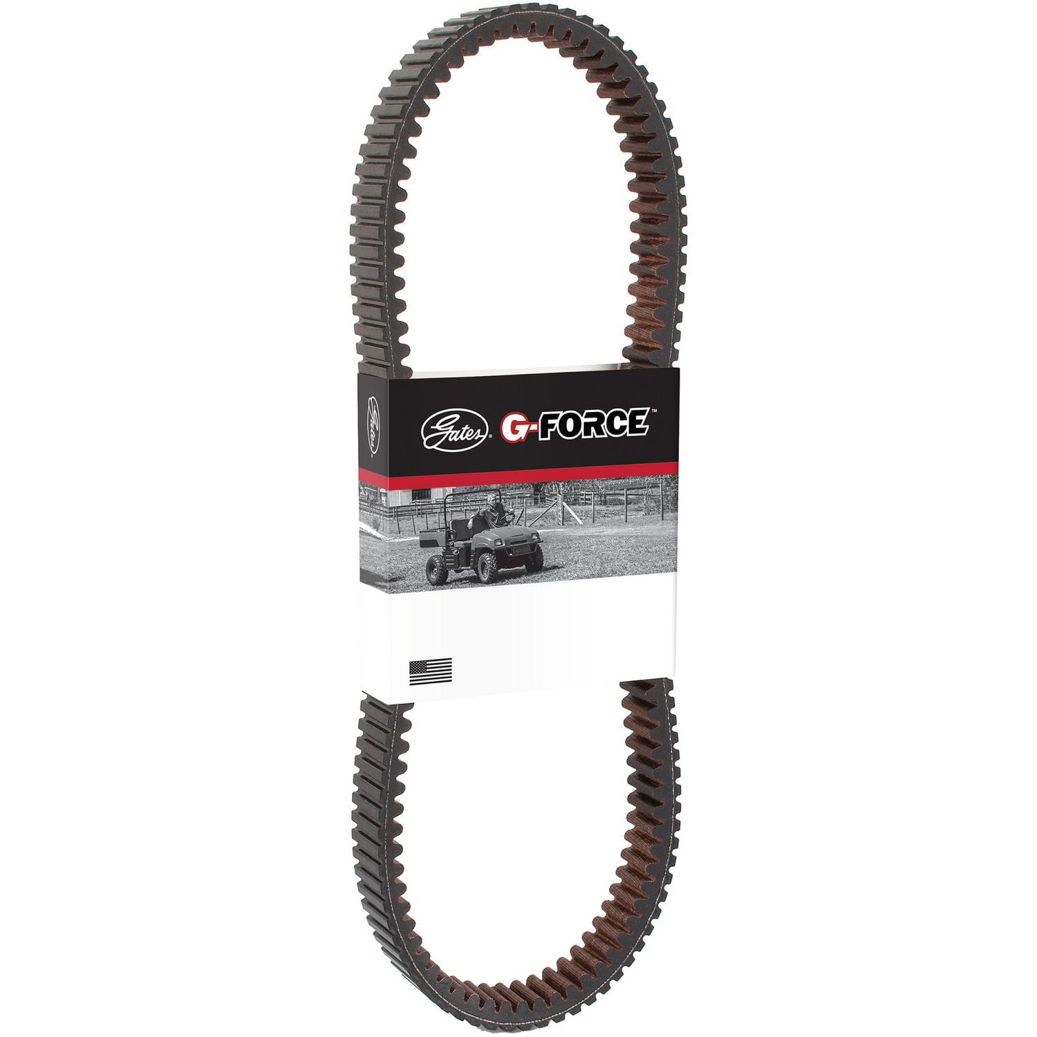 Accessory Drive Belt