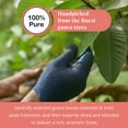 thumbnail image 6 of Akshit 75 Guava Tea Bags, 100%  Natural Guava Leaves, Te De Hojas De Guayaba, Non-GMO, Herbal Tea., 6 of 17