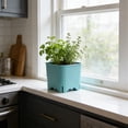 thumbnail image 4 of Mini Planter Pot Colorful Square Plastic Flower Pot Breathable Porous Nursery Container Small Gardening Pot for Desktop Green Plant Display(Blue), 4 of 6