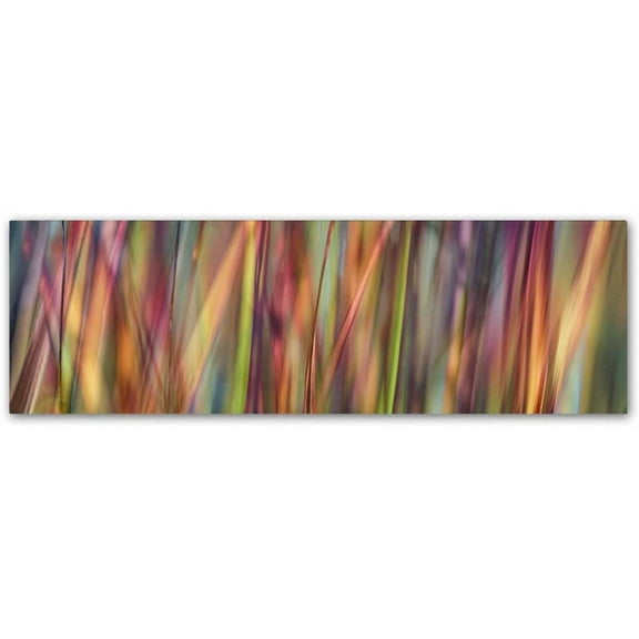 Trademark Fine Art Cora Niele 'Grass Spectrography' 8" x 24" Canvas Stretched (190836317370)