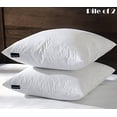 thumbnail image 1 of basic home 22x22 Decorative Throw Pillow Inserts-Down Feather Pillow Inserts-Square-Cotton Fabric-Set of 2-White., 1 of 2