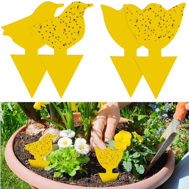 48 Piezas Trampa para Moscas Plug-in Placas Amarillas Etiqueta Amarilla Protección de Plantas contra Pulgones, Moscas de Las Hojas y Alimañas, Ideal para Plantas en el Balcón o en el Jardín