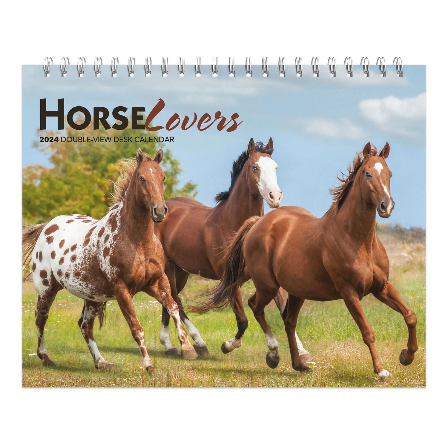 BrownTrout Horse Lovers 2024 7.5x6 Inch Double-View Easel Calendar, 9781975471132