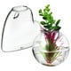 thumbnail image 1 of Macetas de pared para colgar en la pared, soporte para plantas de Terrario de cristal, jarrón de plantas hidropónicas, decoraciones verdes para pared, 2 uds., 1 of 4