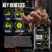 NutraBio Pure Micronized Creatine Monohydrate Powder Supplement, Unflavored, (300 g) - Supports Bulk Muscle Energy, Recovery, and Strength - HPLC Tested Creatine Powder Supplement for Men and Women