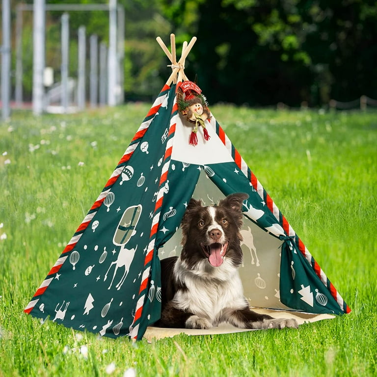 Extra large hotsell dog teepee