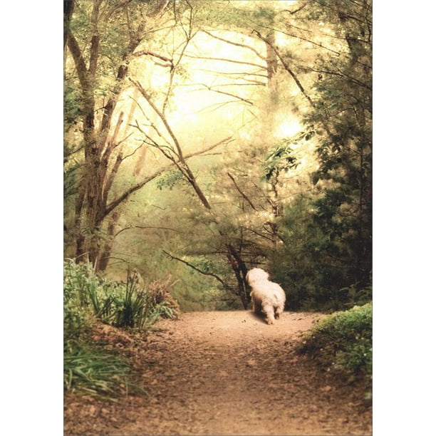 Avanti Press White Dog On Path Pet Sympathy Card Walmart Com Walmart Com