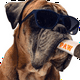 thumbnail image 2 of Funny Dog Toys - Plush Squeaky Toys for Medium, Small - Cool Stuffed Cute Gifts for Dog Birthday, 2 of 5