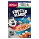 Céréales Kellogg's Frosted Flakes, format familial, 580 g 580g – image 1 sur 18