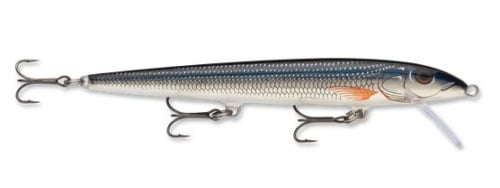 shiner lure