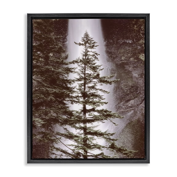 Stupell Industries Farmhouse Waterfall Nature Photography Black Floating Frame Canvas Art, 17 x 21, by Dennis Frates
