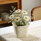 thumbnail image 1 of Cesta de Mimbre para Plantas, Contenedor Rústico para Plantas, Ideal para Patio, Oficina, Interiores Y Exteriores., 1 of 8