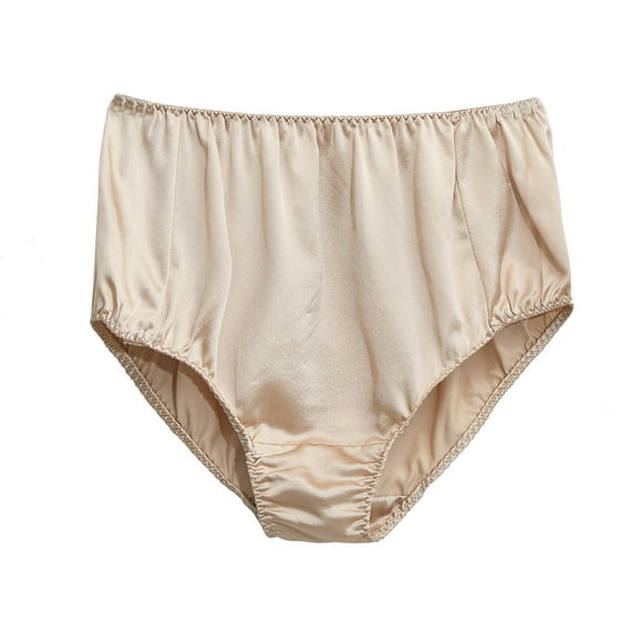 French Cut High Rise Pure Silk Pantie