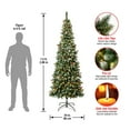 thumbnail image 3 of National Tree Company Pre-Lit Artificial Slim Christmas Tree, Green, Cullen Pine, Pine Cones, Red Berries, 300 Warm White LED Lights, Includes Stand, 7.5 Feet, 3 of 3