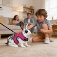 thumbnail image 6 of Rabbit Harness and Leash Set, Adjustable Mesh Bunny Walking Harness with Lead, Breathable Small Pet Harness for Rabbits 6.61 Lbs., 6 of 8