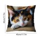 thumbnail image 3 of CaiYueKe Cats Linen Pillow Cover Decorative Cushion Case Bohemian Style Sofa Bed Throw Pillowcase Home Decor Accent Pillow Shams for Living Room Bedroom, 3 of 7