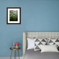 thumbnail image 4 of Great Smoky Mountains National Park, North Carolina, USA, Botanical Scenic Framed Art Print Wall Art by Adam Jones Sold by Art.Com, 4 of 6