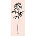 thumbnail image 2 of Schlabach, Sue 15x32 Black Ornate Wood Framed with Double Matting Museum Art Print Titled - Floral Line II on Pink, 2 of 4