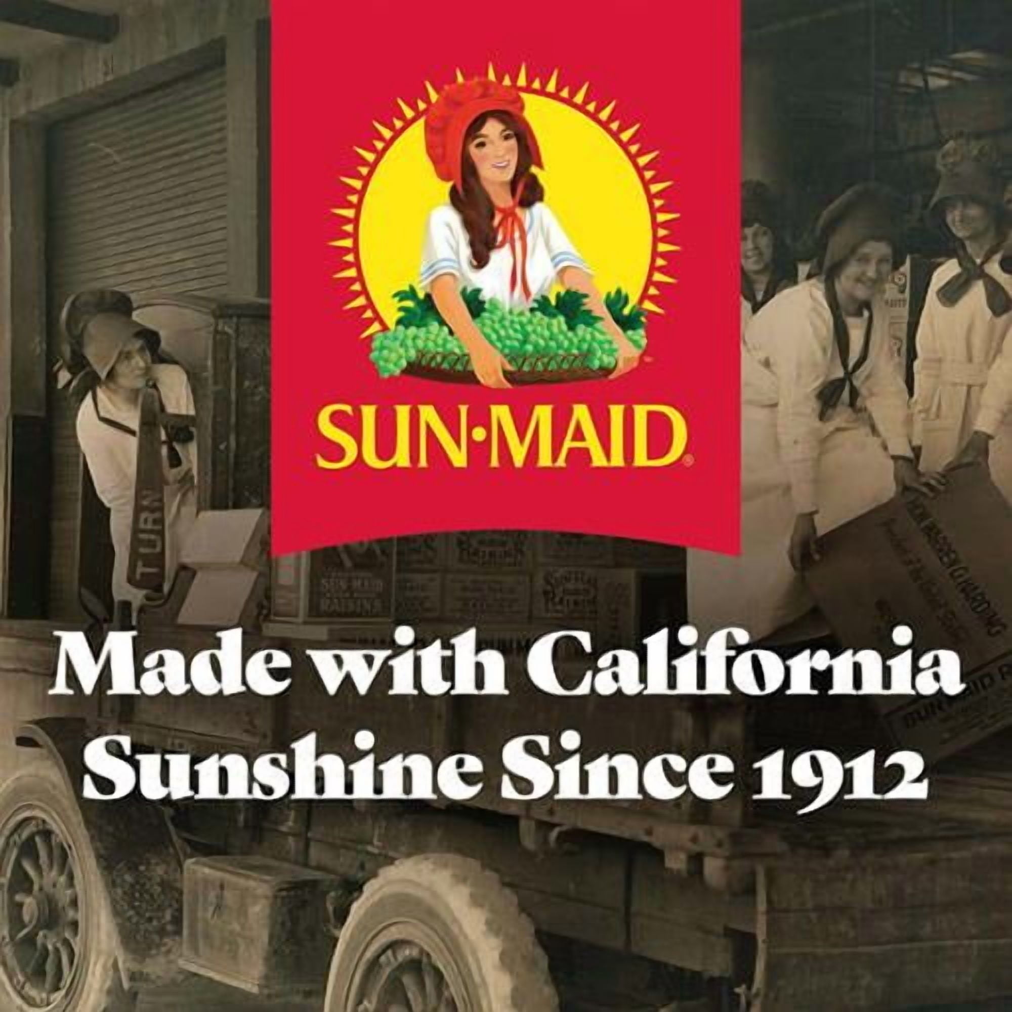 Sun-Maid Cinnamon Swirl Raisin Bread, Cinnamon Raisin Bread, 16 Oz Loaf - Pack of 2