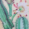 thumbnail image 4 of Northlight Cactus and Desert Florals Framed Wall Art - 14.25" x 14.25" - Beige and Green, 4 of 8