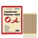 thumbnail image 1 of 16pc Capsicum Plaster Pain Relieving Patch, 1 of 3