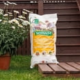 thumbnail image 3 of Schultz Organic Container Potting Soil Mix, 3 of 4