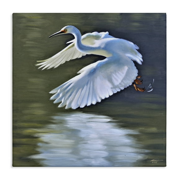 Stupell Industries Egret Flying Lake Surface Animals & Insects Painting Gallery Wrapped Canvas Art Print Wall Art, 36 x 36