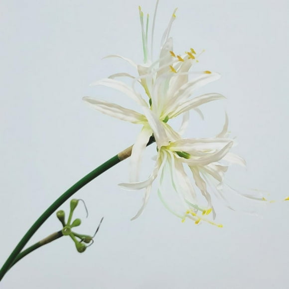 5 Pcs Spider Lilies Artificial Lycoris Bulbs With Long Stem Real Touch For Home Office Hotel Living Room Decoration
