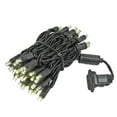 thumbnail image 2 of Novelty Lights 50 Light Warm White LED Christmas Mini Light Set (Black Wire, 11 Feet), 2 of 8