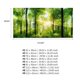 thumbnail image 1 of Posterfor Aquarium,Póster adhesivo de bosque adhesivo con efecto 3D Póster de bosque mejor en su clase, 1 of 8