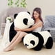 thumbnail image 1 of 1pc Cute Baby Big Giant Panda Bear Plush Stuffed Animal Doll Animals Toy Pillow Cartoon Kawaii Plushies Dolls Girls Lover Gifts, 1 of 3