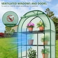 thumbnail image 4 of GAZEBETER Small Greenhouse 4-Tier,40 x 18 x 63'' Mini Greenhouse for Indoor Outdoor,Portable Plastic Plant Green House Mini with Roll-up Zipper Door,Green, 4 of 10